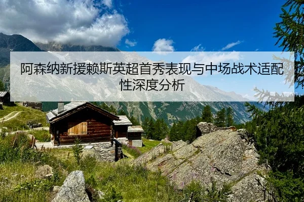 阿森纳新援赖斯英超首秀表现与中场战术适配性深度分析
